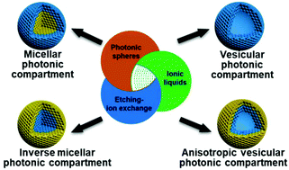 Graphical abstract: Facile fabrication of self-reporting micellar and vesicular structures based on an etching-ion exchange strategy of photonic composite spheres of poly(ionic liquid)