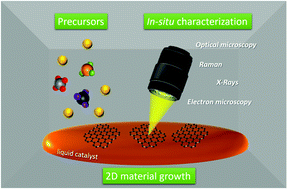 Graphical abstract: Growth and in situ characterization of 2D materials by chemical vapour deposition on liquid metal catalysts: a review