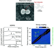 Graphical abstract: Between plasmonics and surface-enhanced resonant Raman spectroscopy: toward single-molecule strong coupling at a hotspot