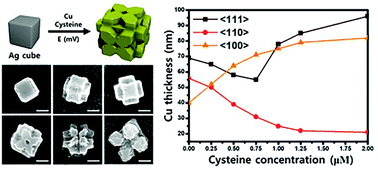 Graphical abstract: Structural complexity induced by {110} blocking of cysteine in electrochemical copper deposition on silver nanocubes