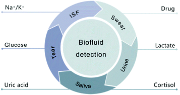 Graphical abstract: Recent advances in biofluid detection with micro/nanostructured bioelectronic devices