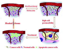 Graphical abstract: Novel multifunctional nano-hybrid polyhedral oligomeric silsesquioxane-based molecules with high cell permeability: molecular design and application for diagnosis and treatment of tumors