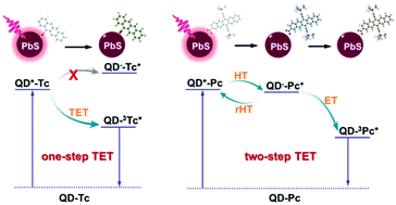 Graphical abstract: Triplet energy migration pathways from PbS quantum dots to surface-anchored polyacenes controlled by charge transfer