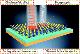 Graphical abstract: Control of light–valley interactions in 2D transition metal dichalcogenides with nanophotonic structures