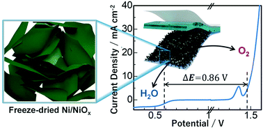 Graphical abstract: 3D porous Ni/NiOx as a bifunctional oxygen electrocatalyst derived from freeze-dried Ni(OH)2