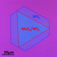 Graphical abstract: Single-step chemical vapour deposition of anti-pyramid MoS2/WS2 vertical heterostructures