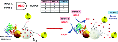 Graphical abstract: A glutathione disulfide-sensitive Janus nanomachine controlled by an enzymatic AND logic gate for smart delivery