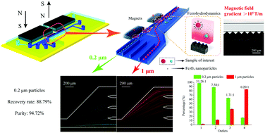 Graphical abstract: Label-free separation of nanoscale particles by an ultrahigh gradient magnetic field in a microfluidic device