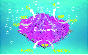Graphical abstract: Construction of self-supporting, hierarchically structured caterpillar-like NiCo2S4 arrays as an efficient trifunctional electrocatalyst for water and urea electrolysis