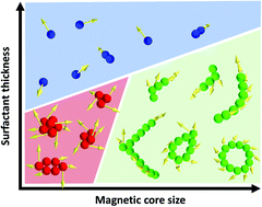 Graphical abstract: Simulated clustering dynamics of colloidal magnetic nanoparticles
