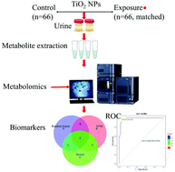 Graphical abstract: Exploring urine biomarkers of early health effects for occupational exposure to titanium dioxide nanoparticles using metabolomics