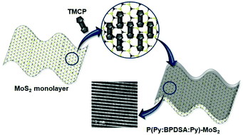 Graphical abstract: Preparation of a polymer nanocomposite via the polymerization of pyrrole : biphenyldisulfonic acid : pyrrole as a two-monomer-connected precursor on MoS2 for electrochemical energy storage