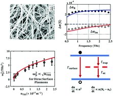 Graphical abstract: Dirac surface plasmons in photoexcited bismuth telluride nanowires: optical pump-terahertz probe spectroscopy