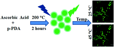 Graphical abstract: Water-soluble green-emitting carbon nanodots with enhanced thermal stability for biological applications