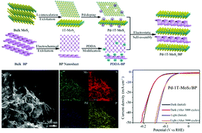 Graphical abstract: A palladium doped 1T-phase molybdenum disulfide–black phosphorene two-dimensional van der Waals heterostructure for visible-light enhanced electrocatalytic hydrogen evolution