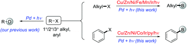 Graphical abstract: Visible-light-mediated borylation of aryl and alkyl halides with a palladium complex