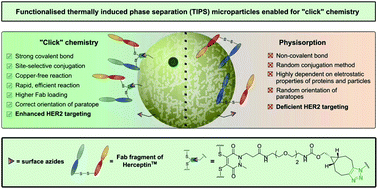 Graphical abstract: Functionalised thermally induced phase separation (TIPS) microparticles enabled for “click” chemistry
