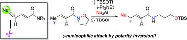 Graphical abstract: γ-C (sp3)–H bond functionalisation of α,β-unsaturated amides through an umpolung strategy