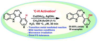 Graphical abstract: β-Carboline directed regioselective hydroxylation by employing Cu(OAc)2 and mechanistic investigation by ESI-MS
