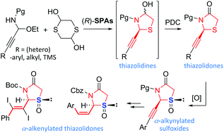 Graphical abstract: Enantioselective synthesis of chiral α-alkynylated thiazolidones by tandem S-addition/acetalization of alkynyl imines