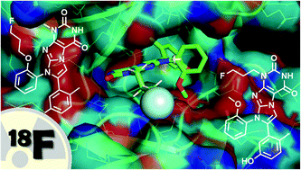 Graphical abstract: Synthesis, radiolabelling and initial biological characterisation of 18F-labelled xanthine derivatives for PET imaging of Eph receptors