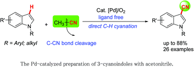 Graphical abstract: The palladium-catalyzed direct C3-cyanation of indoles using acetonitrile as the cyanide source