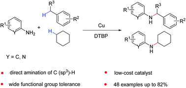 Graphical abstract: Copper-catalyzed direct amination of benzylic hydrocarbons and inactive aliphatic alkanes with arylamines