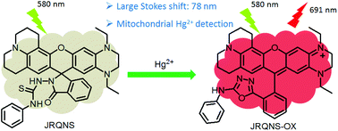 Graphical abstract: A novel near-infrared fluorescent probe with an improved Stokes shift for specific detection of Hg2+ in mitochondria