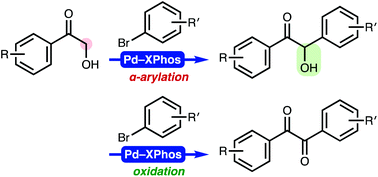 Graphical abstract: Synthesis of unsymmetrical benzils via palladium-catalysed α-arylation–oxidation of 2-hydroxyacetophenones with aryl bromides