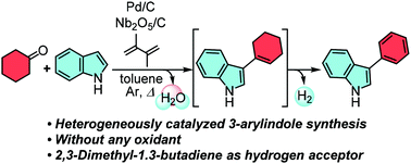 Graphical abstract: Arylation of indoles using cyclohexanones dually-catalyzed by niobic acid and palladium-on-carbons