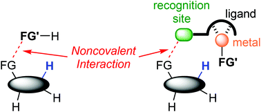 Graphical abstract: Recent progress of transition metal-catalysed regioselective C–H transformations based on noncovalent interactions