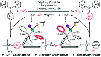 Graphical abstract: Understanding the mechanism and reactivity of Pd-catalyzed C–P bond metathesis of aryl phosphines: a computational study