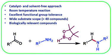 Graphical abstract: Catalyst- and solvent-free efficient access to N-alkylated amines via reductive amination using HBpin