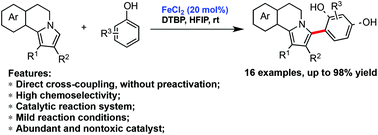Graphical abstract: FeCl2 catalyzed direct modification of dihydropyrrolo[2,1-a]isoquinolines with phenols