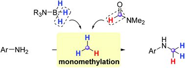 Graphical abstract: Selective N-monomethylation of primary anilines with the controllable installation of N-CH2D, N-CHD2, and N-CD3 units