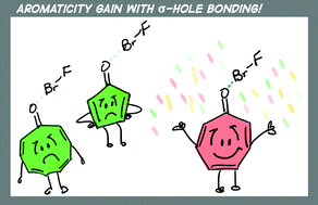 Graphical abstract: On the reciprocal relationship between σ-hole bonding and (anti)aromaticity gain in ketocyclopolyenes