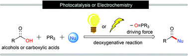 Graphical abstract: Recent advances in PIII-assisted deoxygenative reactions under photochemical or electrochemical conditions