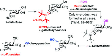 Graphical abstract: Indirect synthetic route to α-l-fucosides via highly stereoselective construction of α-l-galactosides followed by C6-deoxygenation