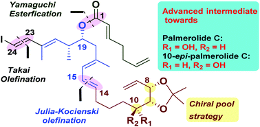 Graphical abstract: Synthetic studies on palmerolide C: synthesis of an advanced intermediate towards the revised structure of palmerolide C