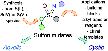 Graphical abstract: Synthetic approaches and applications of sulfonimidates