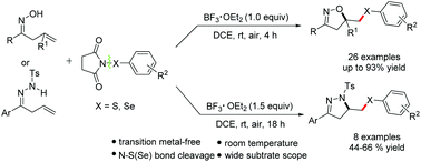 Graphical abstract: BF3·OEt2-mediated cyclization of β,γ-unsaturated oximes and hydrazones with N-(arylthio/arylseleno)succinimides: an efficient approach to synthesize isoxazoles or dihydropyrazoles