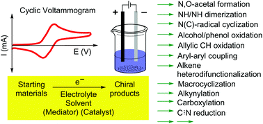 Graphical abstract: Electrochemical asymmetric synthesis of biologically active substances