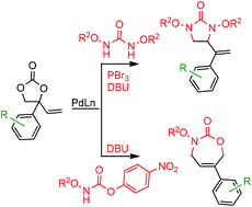 Graphical abstract: Palladium-catalyzed regio- and stereoselective access to allyl ureas/carbamates: facile synthesis of imidazolidinones and oxazepinones