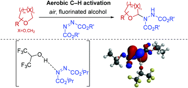 Graphical abstract: Aerobically-initiated C(sp3)–H bond amination through the use of activated azodicarboxylates