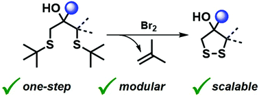 Graphical abstract: Synthesis of functional 1,2-dithiolanes from 1,3-bis-tert-butyl thioethers