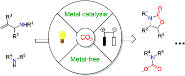 Graphical abstract: Organic synthesis of fixed CO2 using nitrogen as a nucleophilic center