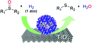 Graphical abstract: Nickel phosphide nanoalloy catalyst for the selective deoxygenation of sulfoxides to sulfides under ambient H2 pressure