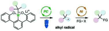 Graphical abstract: Boracene-based alkylborate enabled Ni/Ir hybrid catalysis