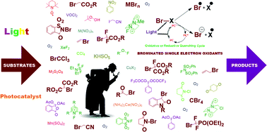 Graphical abstract: Tracking down the brominated single electron oxidants in recent organic red-ox transformations: photolysis and photocatalysis
