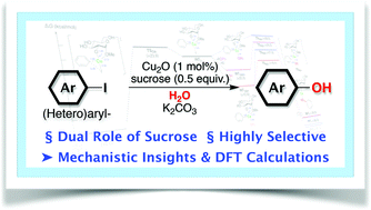 Graphical abstract: Cu(i)/sucrose-catalyzed hydroxylation of arenes in water: the dual role of sucrose